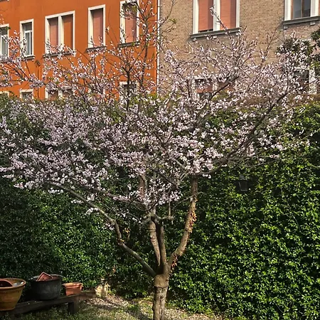 Vibes - Terrace In Venise