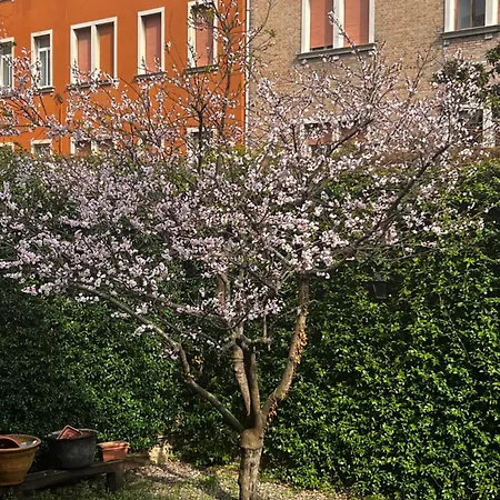Vibes - Terrace In Venice