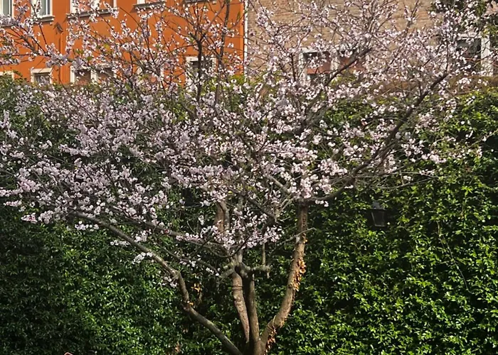 Vibes - Terrace In Venise